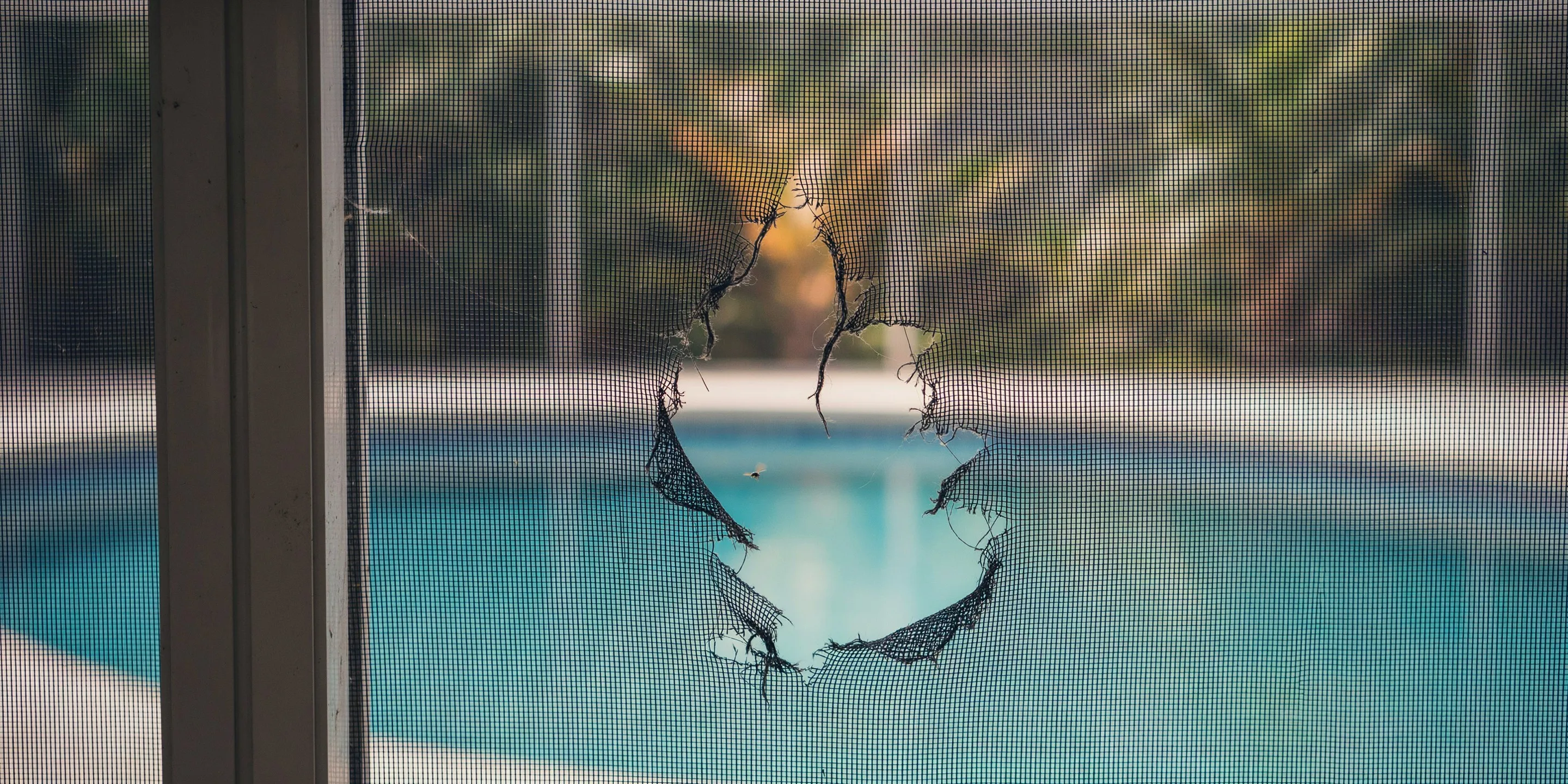 Screen Panel Repair in Siesta Key, FL